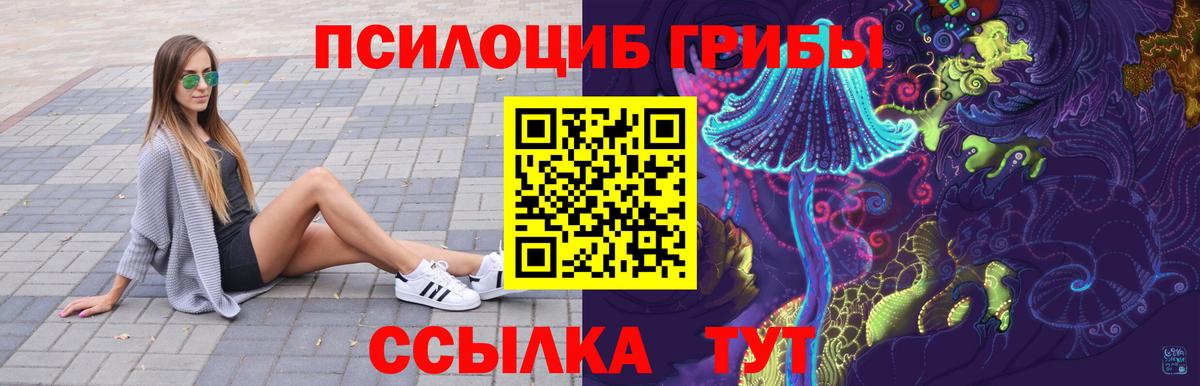 Галлюциногенные грибы Psilocybe  Псилоцибиновые грибы GOLDEN TEACHER  Люберцы  Вход с VPN 